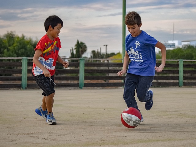 新星的重要 新星的重要