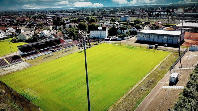 这不仅有助 这不仅有助