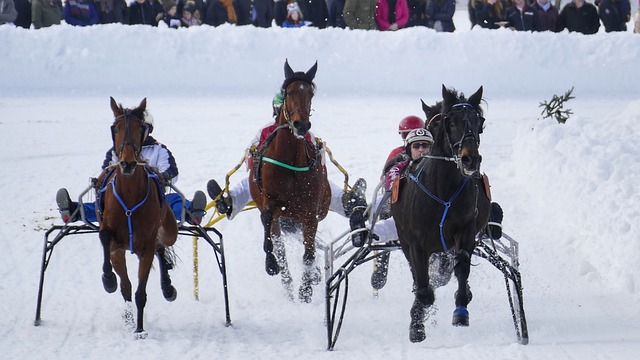 里竞技在比 里竞技在比