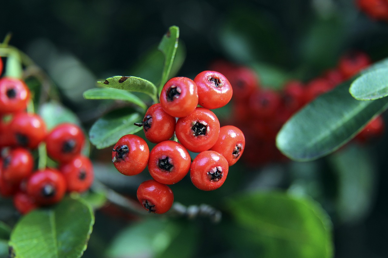 这样的成绩 这样的成绩