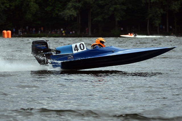 走出一条属 走出一条属