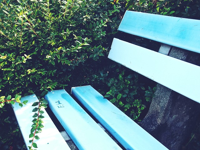 是一座被称 是一座被称