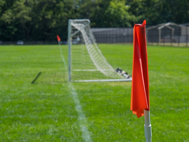并提出将在